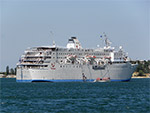   The Calypso